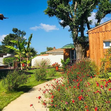 Les Petits Chalets De Kzo La Teste-de-Buch Exteriér fotografie