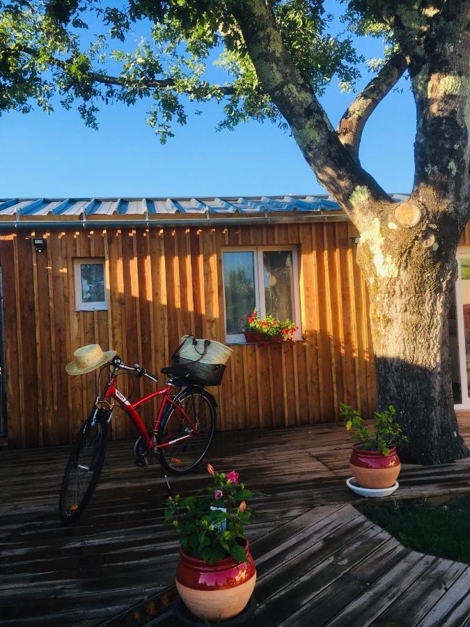 Les Petits Chalets De Kzo La Teste-de-Buch Exteriér fotografie