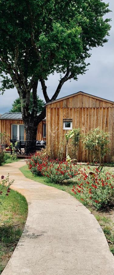 Les Petits Chalets De Kzo La Teste-de-Buch Exteriér fotografie